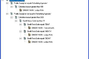 Credit Path Rules